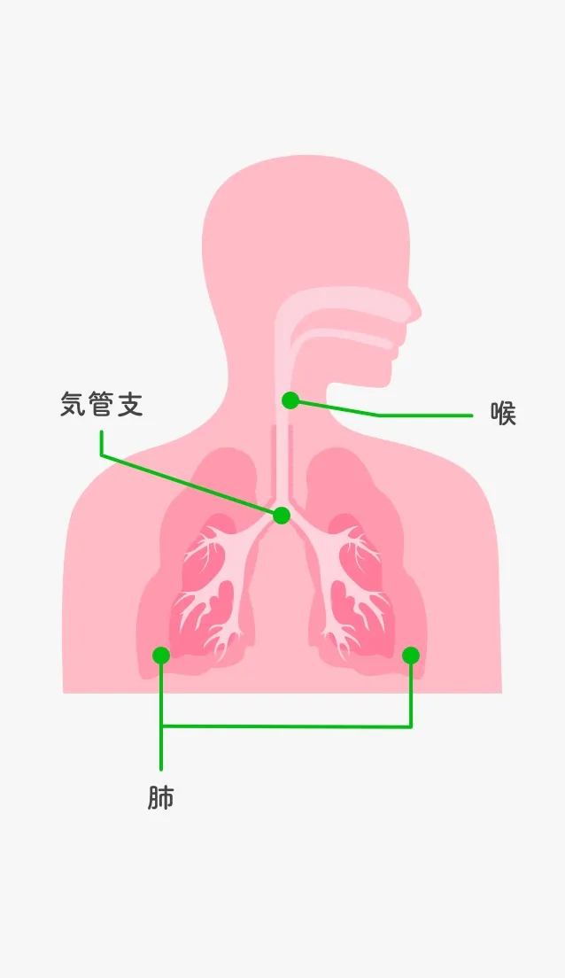 喉に炎症が生じると